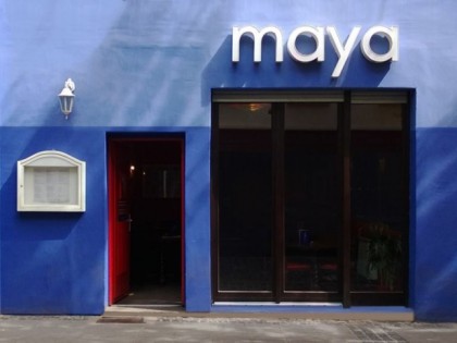 照片:  maya